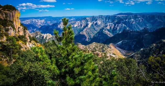 Visiter les Barrancas del Cobre, Mexique